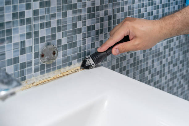 Best Insurance-Related Mold Remediation in Hanna City, IL